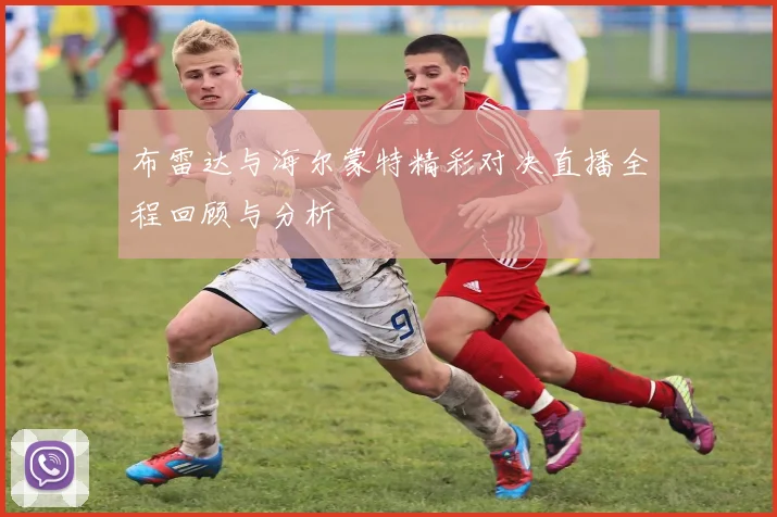 布雷达与海尔蒙特精彩对决直播全程回顾与分析