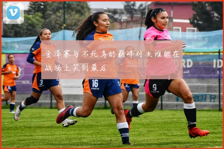 金泽寨与不死鸟的巅峰对决谁能在战场上笑到最后