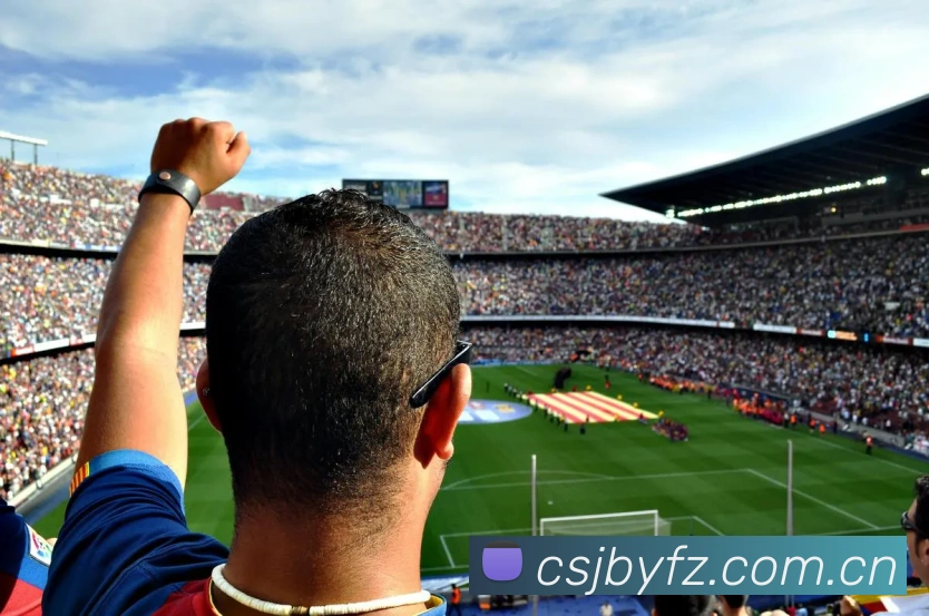 乐鱼体育平台生态图